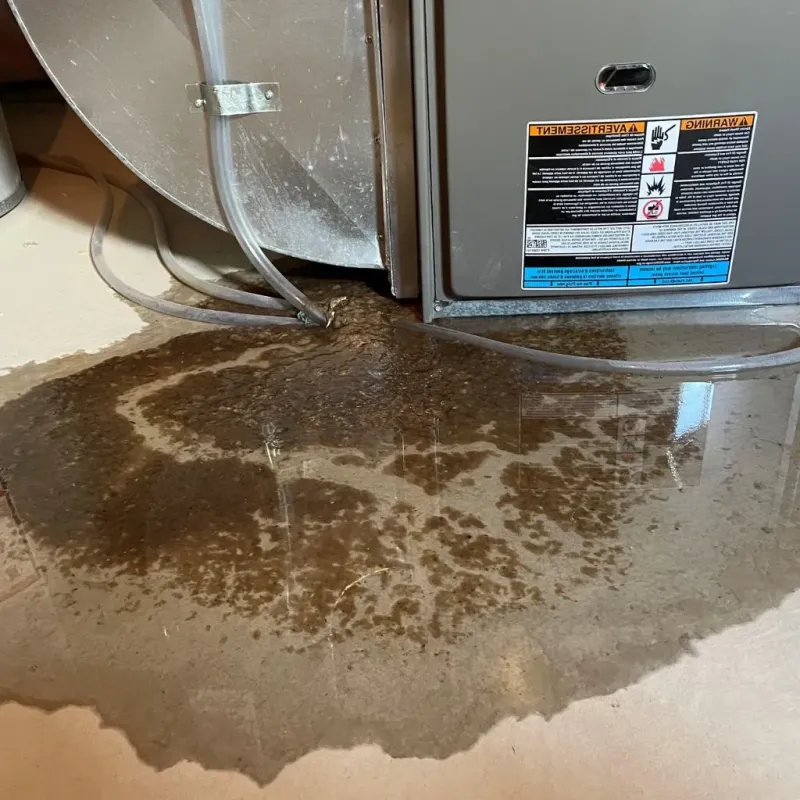 Pipe Burst and Leak Restoration in Baltimore, MD
